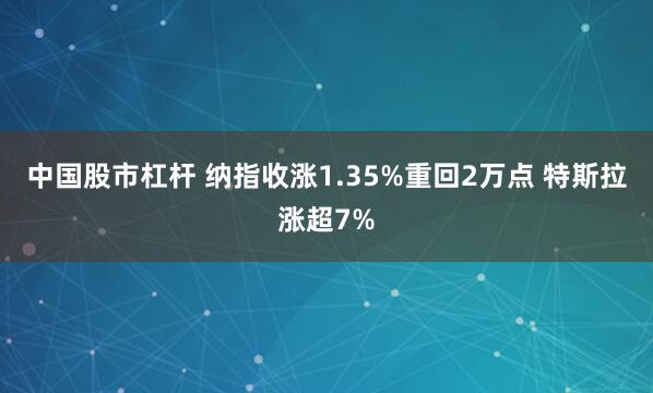 中国股市杠杆 纳指收涨1.35%重回2万点 特斯拉涨超7%