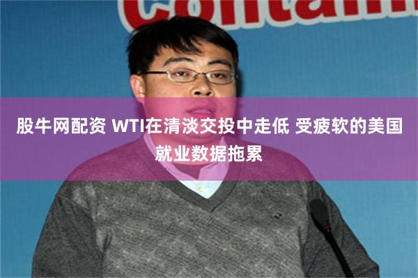 股牛网配资 WTI在清淡交投中走低 受疲软的美国就业数据拖累