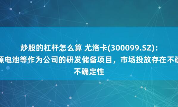 炒股的杠杆怎么算 尤洛卡(300099.SZ)：氢能源电池等作为公司的研发储备项目，市场投放存在不确定性