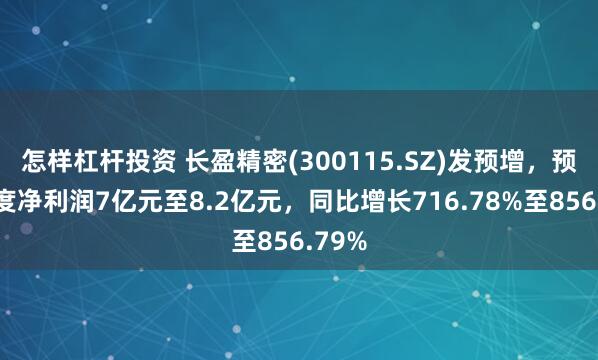 怎样杠杆投资 长盈精密(300115.SZ)发预增，预计年度净利润7亿元至8.2亿元，同比增长716.78%至856.79%